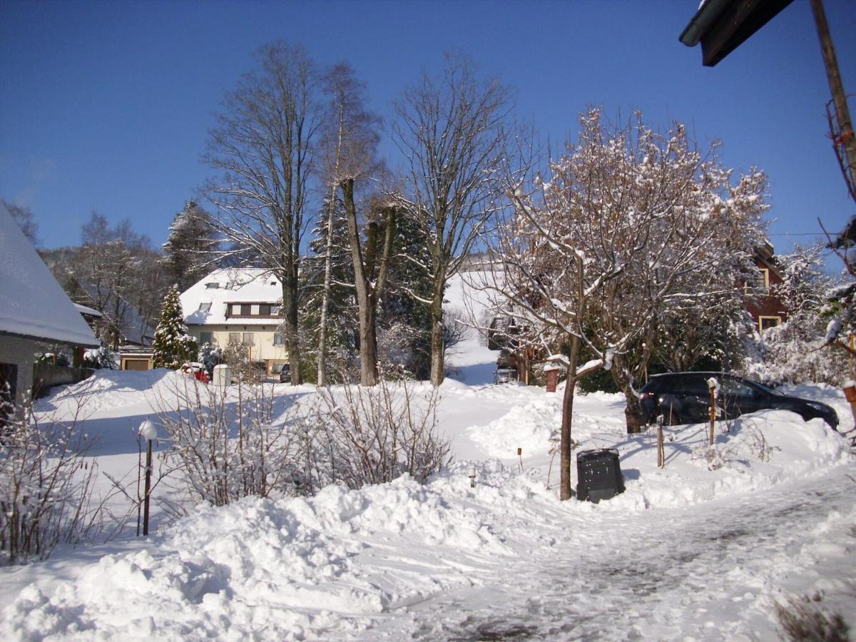 Beautiful Apartment In A Black Forest House With Conservatory Bernau im Schwarzwald Exterior foto