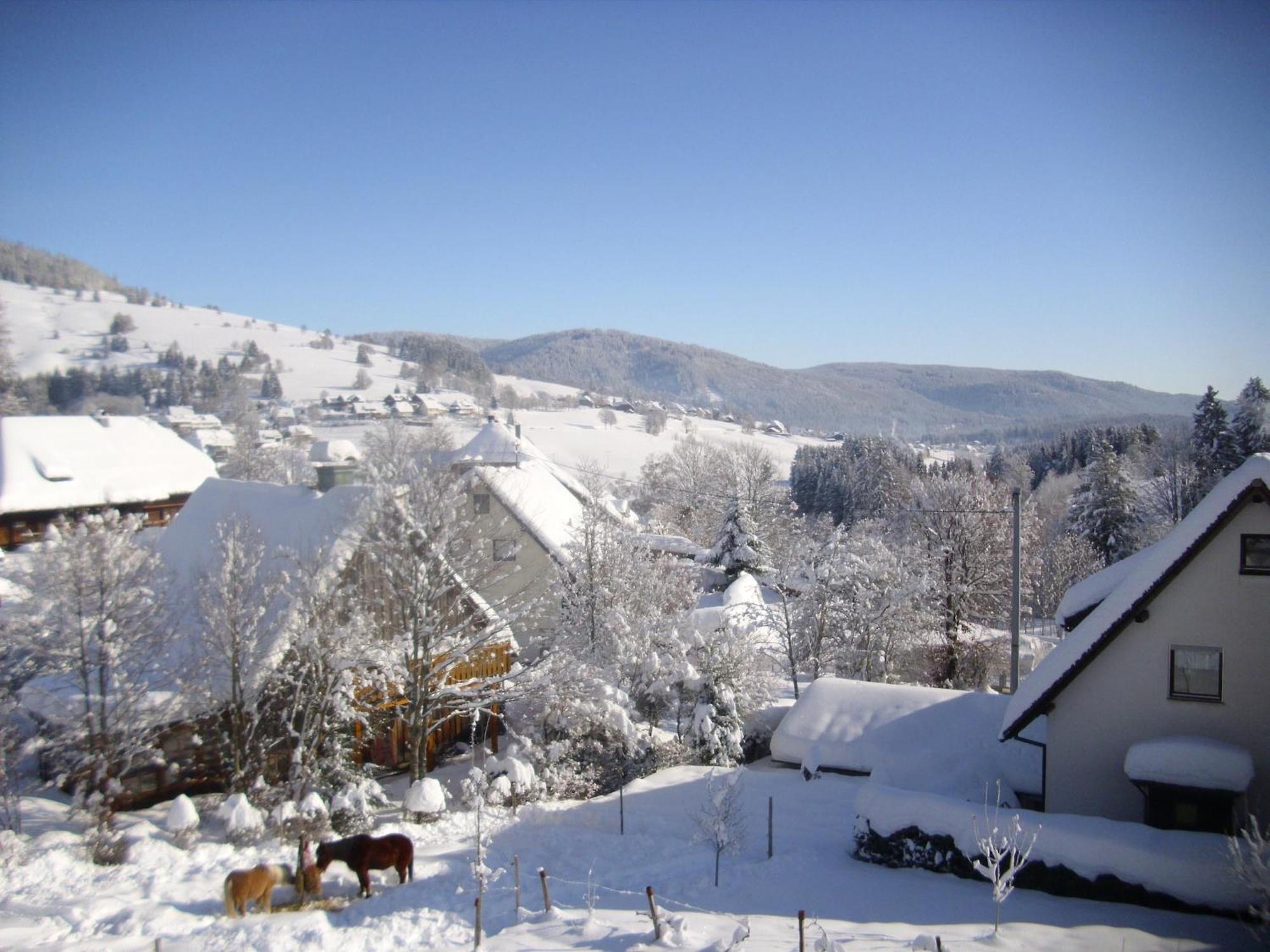 Beautiful Apartment In A Black Forest House With Conservatory Bernau im Schwarzwald Exterior foto